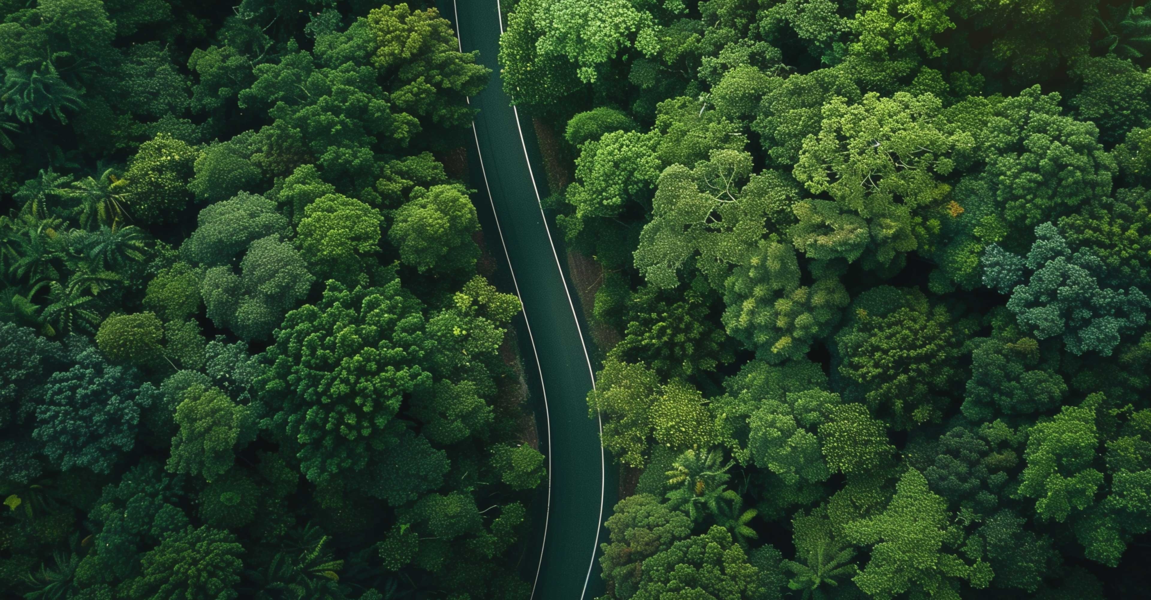 main visual background image